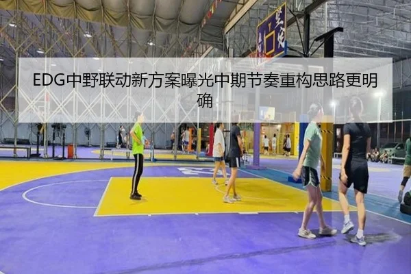EDG中野联动新方案曝光中期节奏重构思路更明确